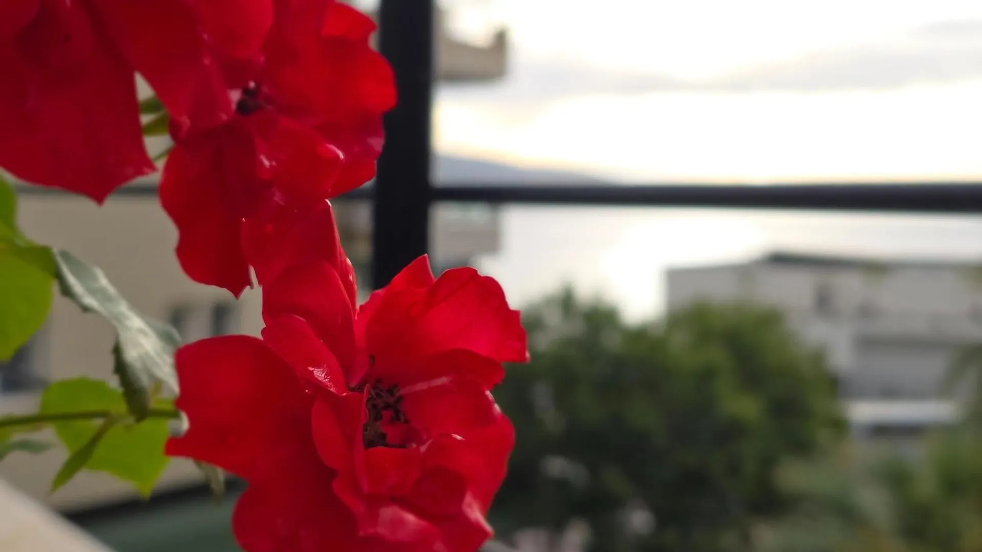 Valza Boutique Hotel Vlore Albania